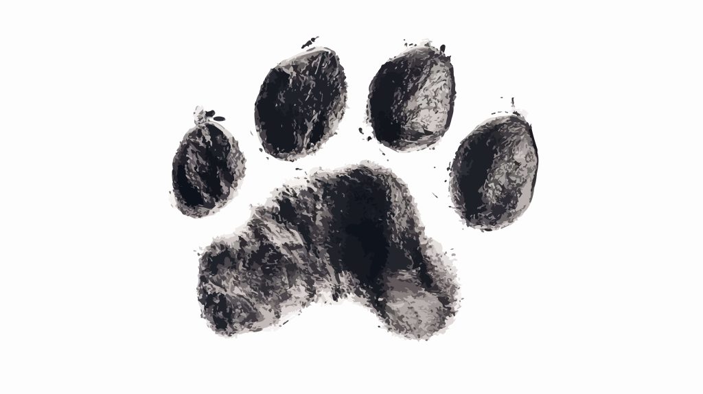 paw print ashes tattoo