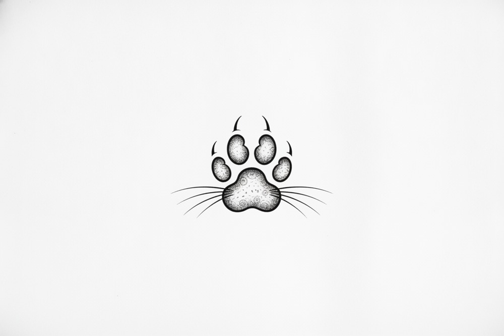What Makes A Cat Paw Print Different From A Dog's?