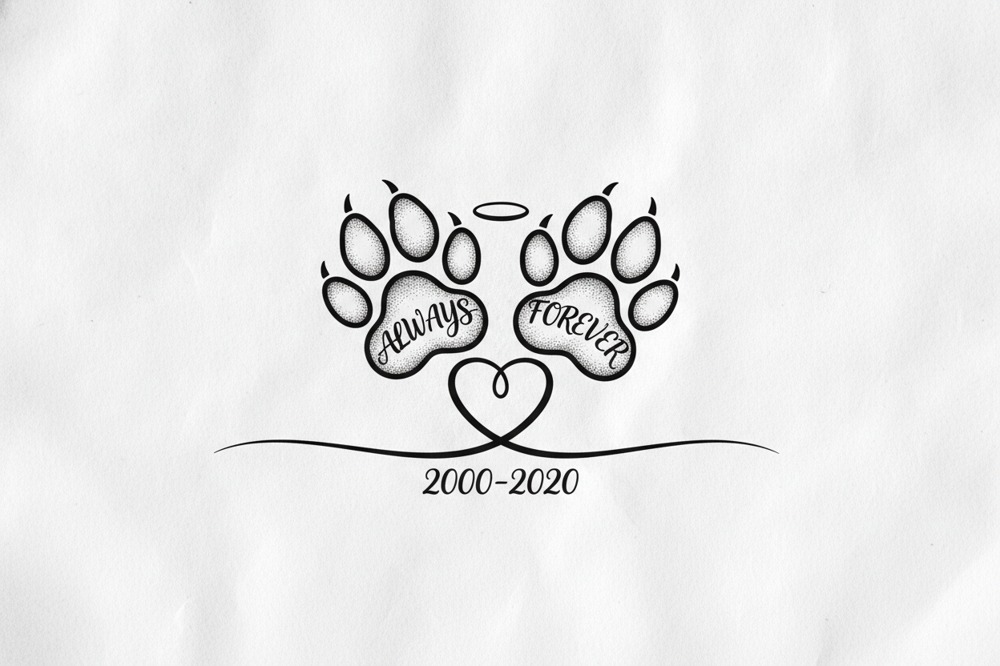 What's The Actual Difference Between A Dog And Cat Paw Print In Ink?