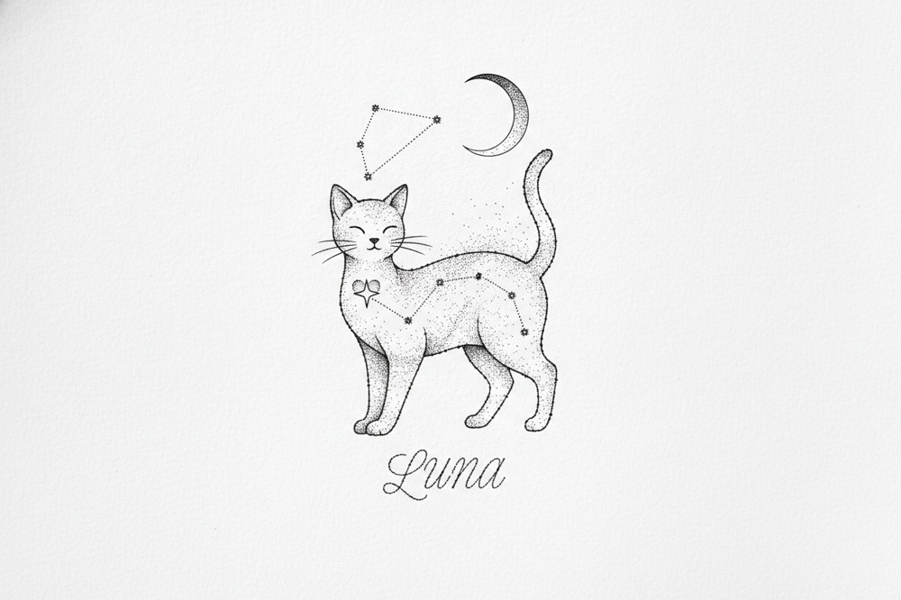 Where's The Best Place For A Small Cat Ashes Tattoo?