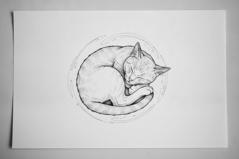 What Does A Cat Ashes Tattoo Cost?